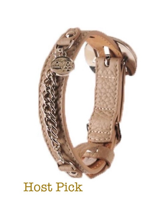 MOSHIQA Other - MOSHIQA Beige Leather Silver Chain Dog Collar M Frenchie Luxury Designer Pet Y2K